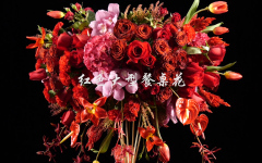 红色大型餐桌花