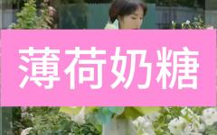 【七夕】薄荷奶糖花束