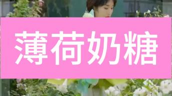 【七夕】薄荷奶糖花束