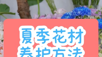 夏季花材到店如何养护？