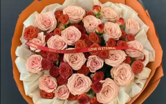 【爆款】19朵卡布奇诺小香风花束