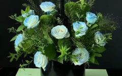 【热门】碎冰蓝红酒花束