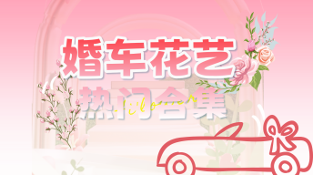 【婚车花艺】热门花艺教学合集