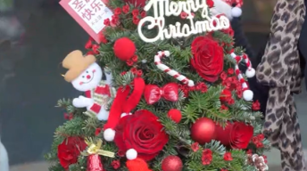 【圣诞】爆款花束合集