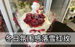 【氛围】火爆全网落雪小花束