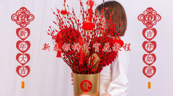 【新年】新春银柳年宵花教程