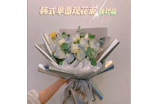 韩式单面观花束制作和包装