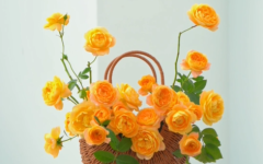 花篮插花