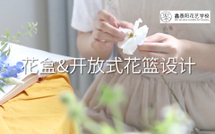 花盒-开放式花篮设计