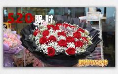 【520经典款】小熊搭配红玫瑰满天星花束