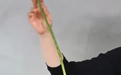 花艺技巧
