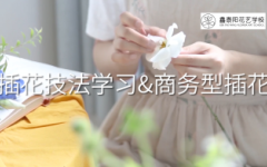 插花技法学习-商务型插花