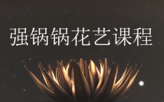 11枝红玫瑰满天星花泥插花-强锅锅花艺