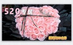 【粉色玫瑰】520热门中型花束