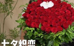 七夕炽恋