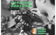 概念解析：桌台设计类-装饰性平行型-荷兰DFA系统认证课