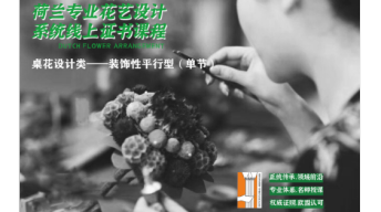 欧盟认可资质——荷兰DFA专业花艺系统课程（线上简介视频）