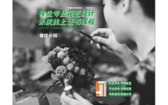 课程介绍-荷兰DFA专业系统认证课程