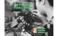 课程介绍-荷兰DFA专业系统认证课程