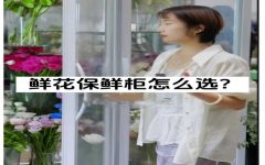 鲜花保鲜柜怎么选？