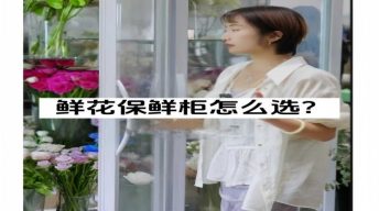 鲜花保鲜柜怎么选？