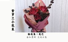 多头紫罗兰小花束