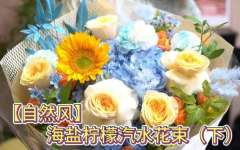 （下）海盐柠檬汽水花束