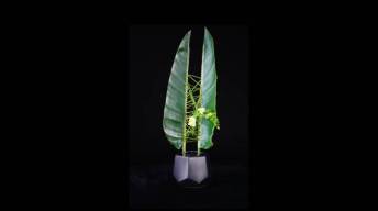 创意花艺课程系列6