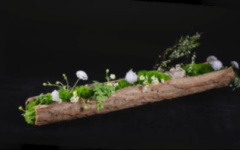 创意花艺课程系列5