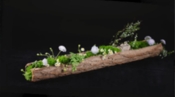 创意花艺课程系列5