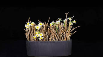 创意花艺课程系列7