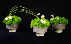 创意花艺课程系列8