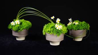 创意花艺课程系列8