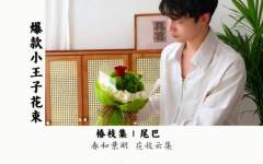 精致爆款-小王子花束