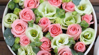 有vip优惠价的合集1