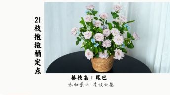 21枝抱抱桶定点教程