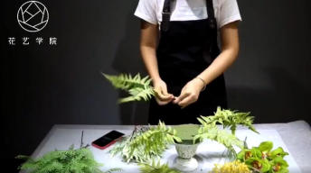 精品课设置vip价格