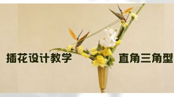 ⑥插花设计-直角三角型插花教学