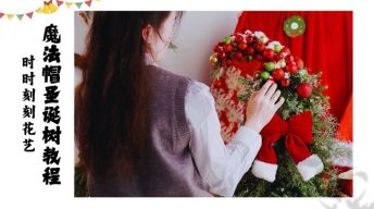 3.圣诞沙龙花艺：魔法帽圣诞树教程