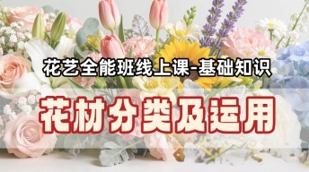花材分类及运用-基础-花艺全能班线上课