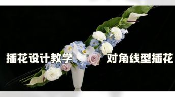 ⑦插花设计-对角线型插花教学