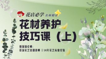 （上）花材养护技巧课