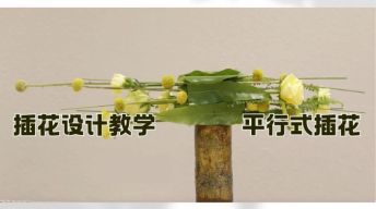 ⑩插花设计-平行式插花教学