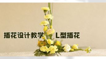 ④插花设计-L型插花教学
