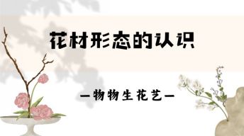 13.花材形态的认识