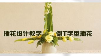 ③插花设计-倒T字型插花教学