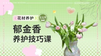 郁金香养护技巧