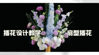 ⑨插花设计-扇型插花教学