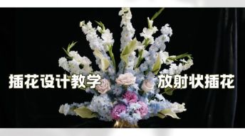 ⑧插花设计-放射状插花教学