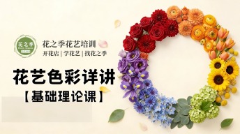 【理论篇】花艺色彩课程-花艺全能班线上课